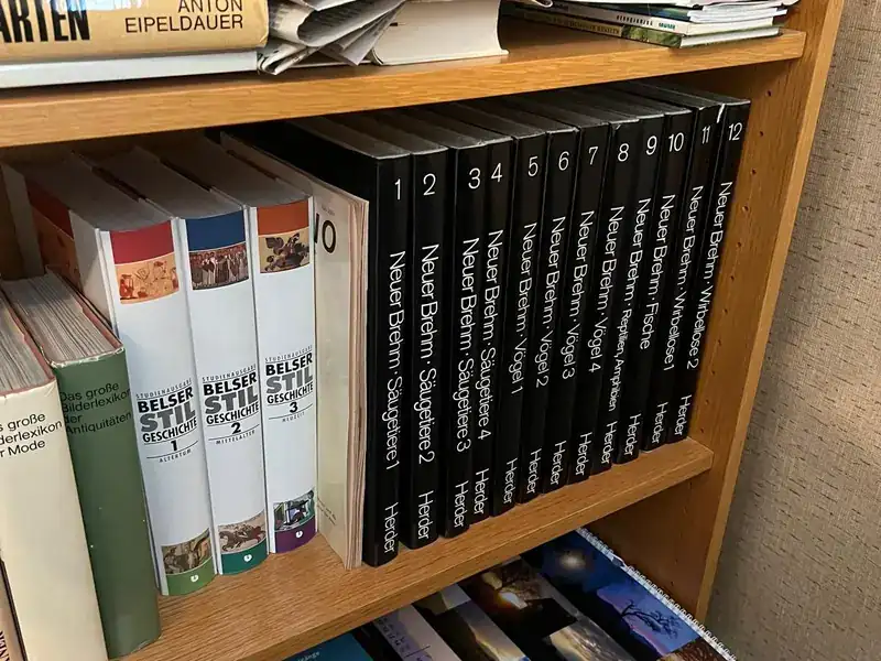 Bücherregal mit Zeitschriften vor der Räumung