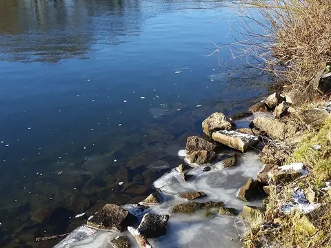 Der Main bei Schweinfurt
